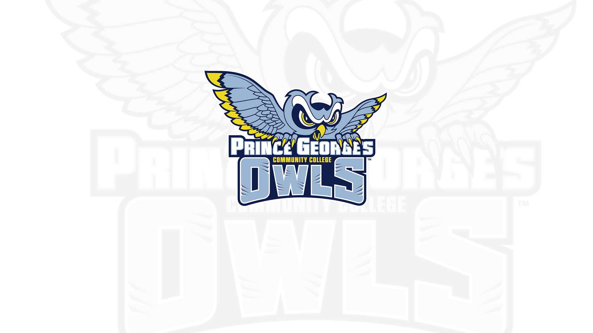 Lady Owls Set To Host Massasoit For A Battle of NJCAA Top Teams