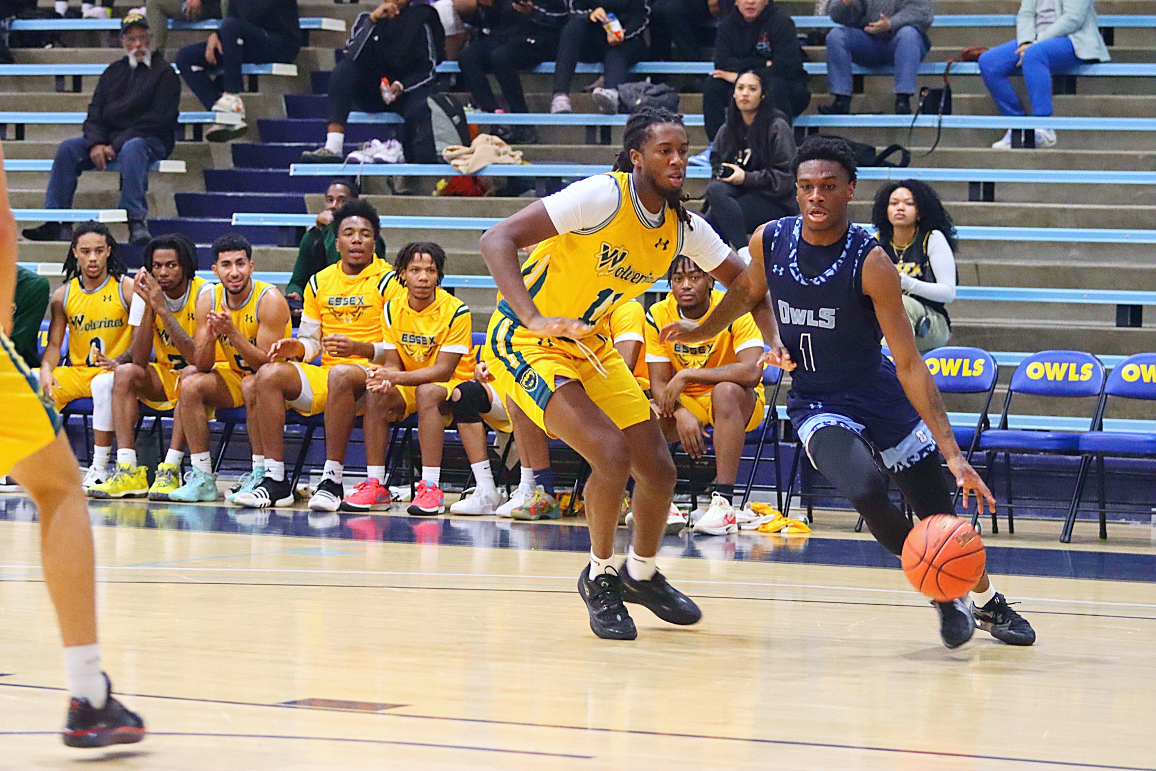 Owls Survive Late Push by Essex County