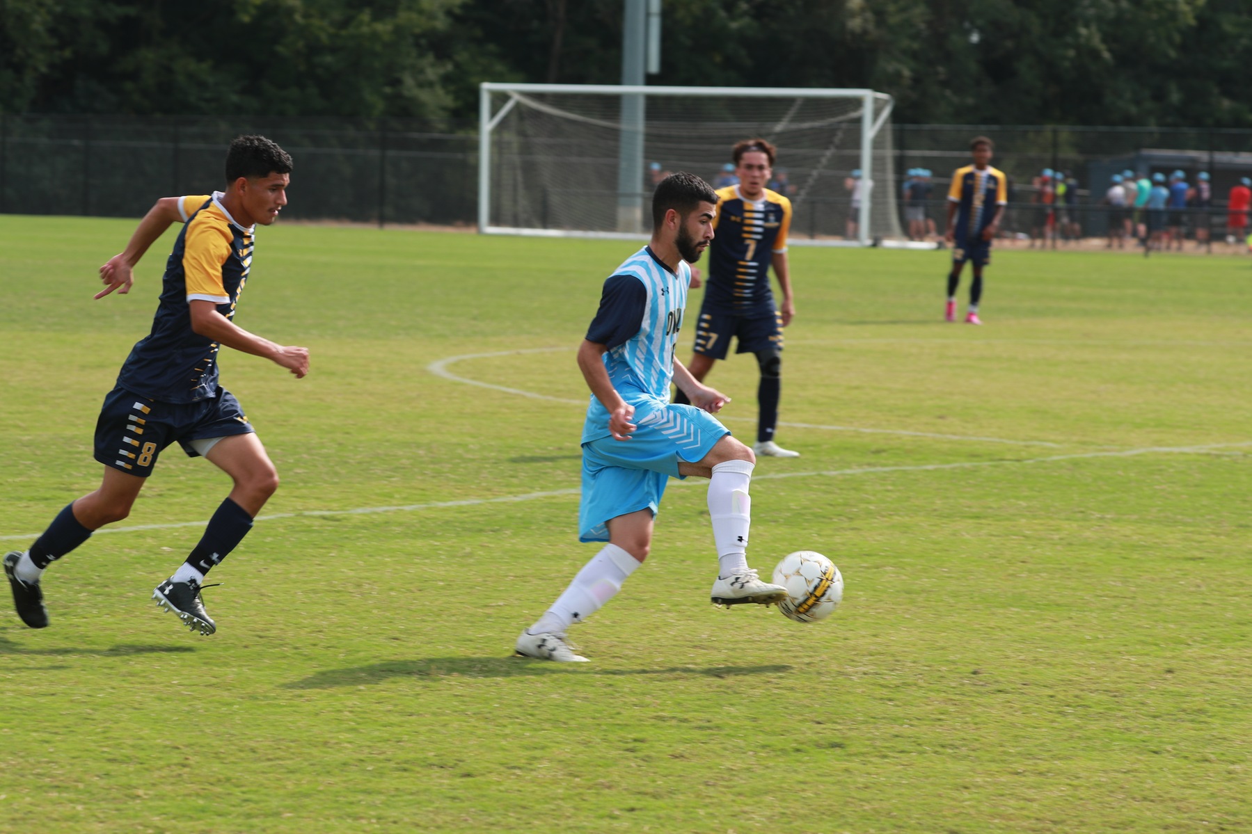 Owls Take Down Harford