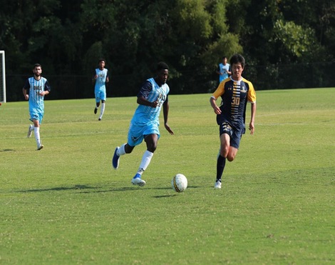 Owls Fall to Howard in Physical Contest