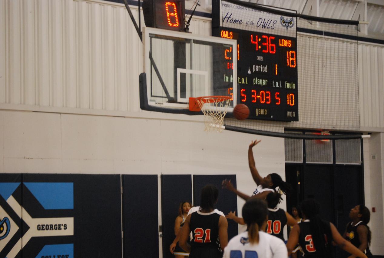 Lady Owls Bounce Back After Tough Home Loss