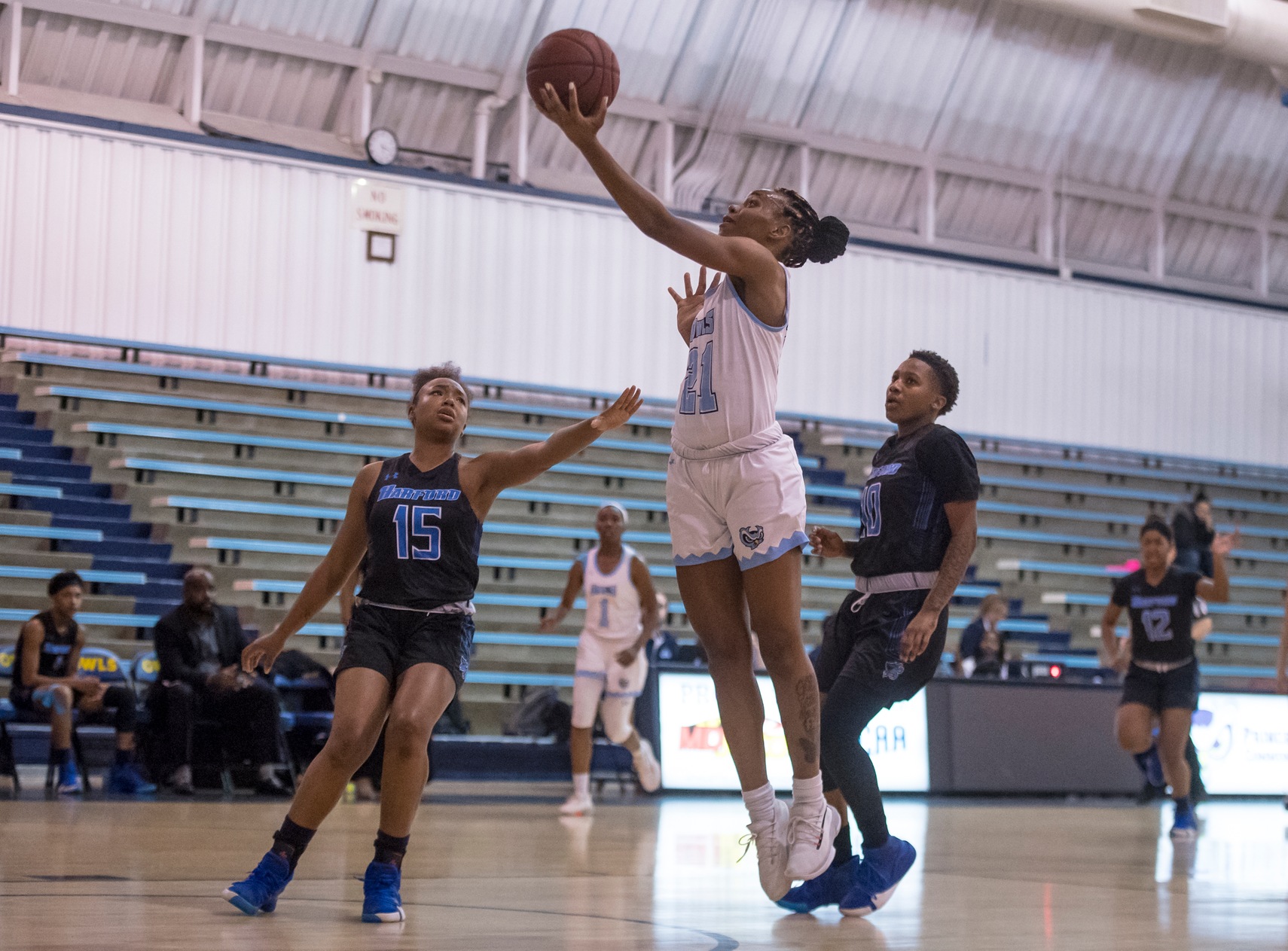 Lady Owls Wrap Up Best Regular Season Since 2014-15 With Win Over Hagerstown