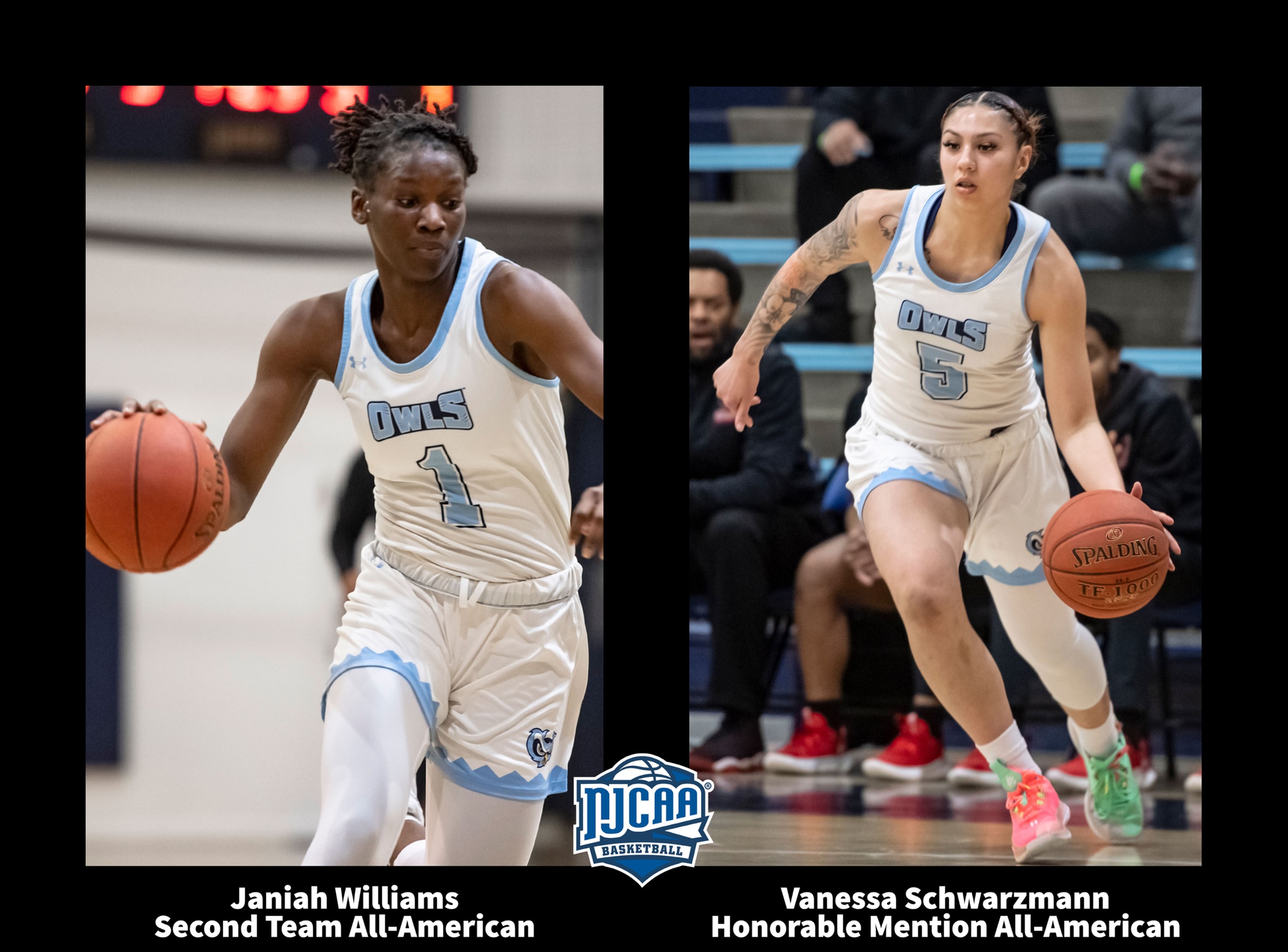 Williams and Schwarzmann Earn All-American Honors