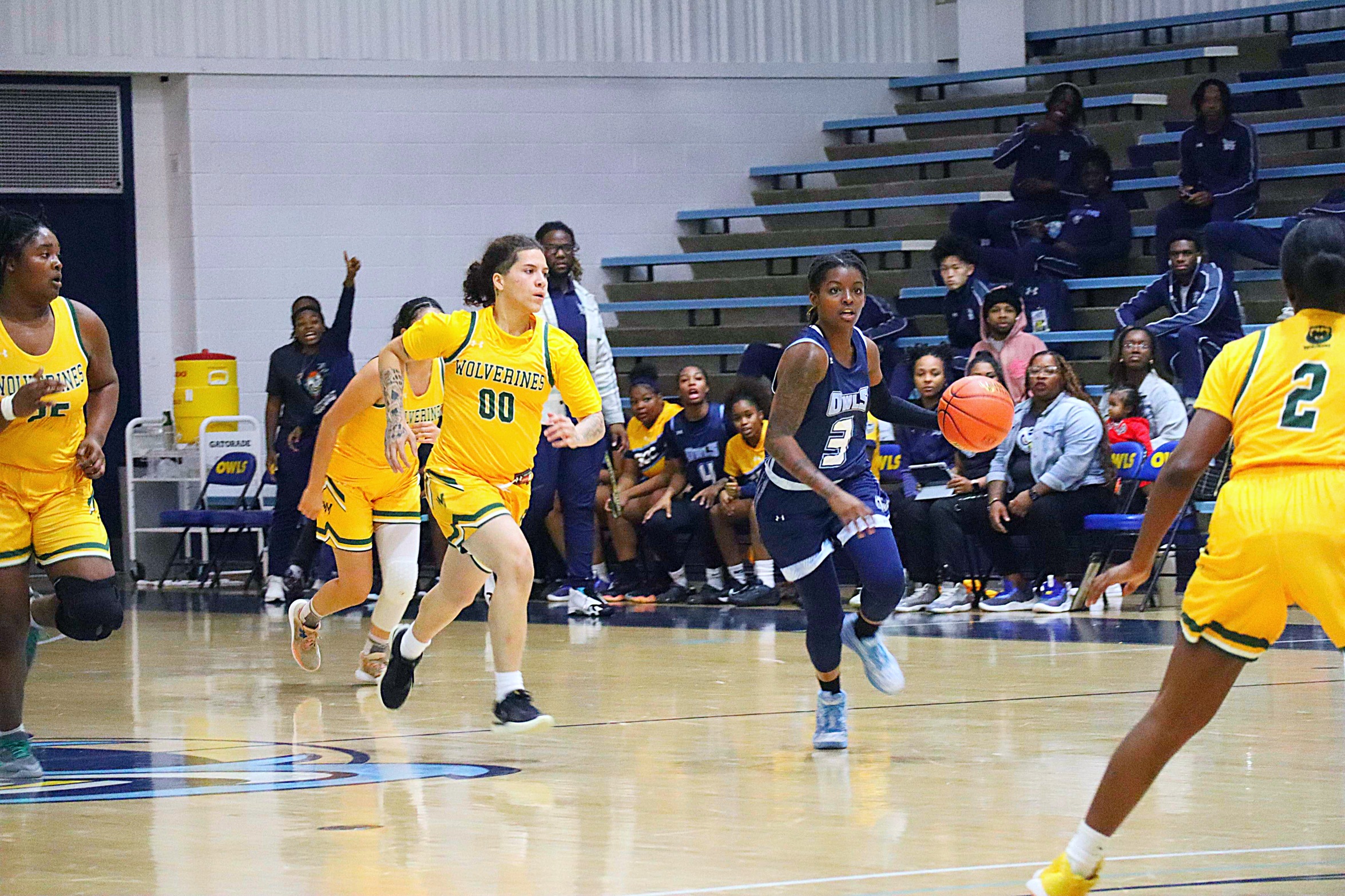 Owls Soar Past Anne Arundel