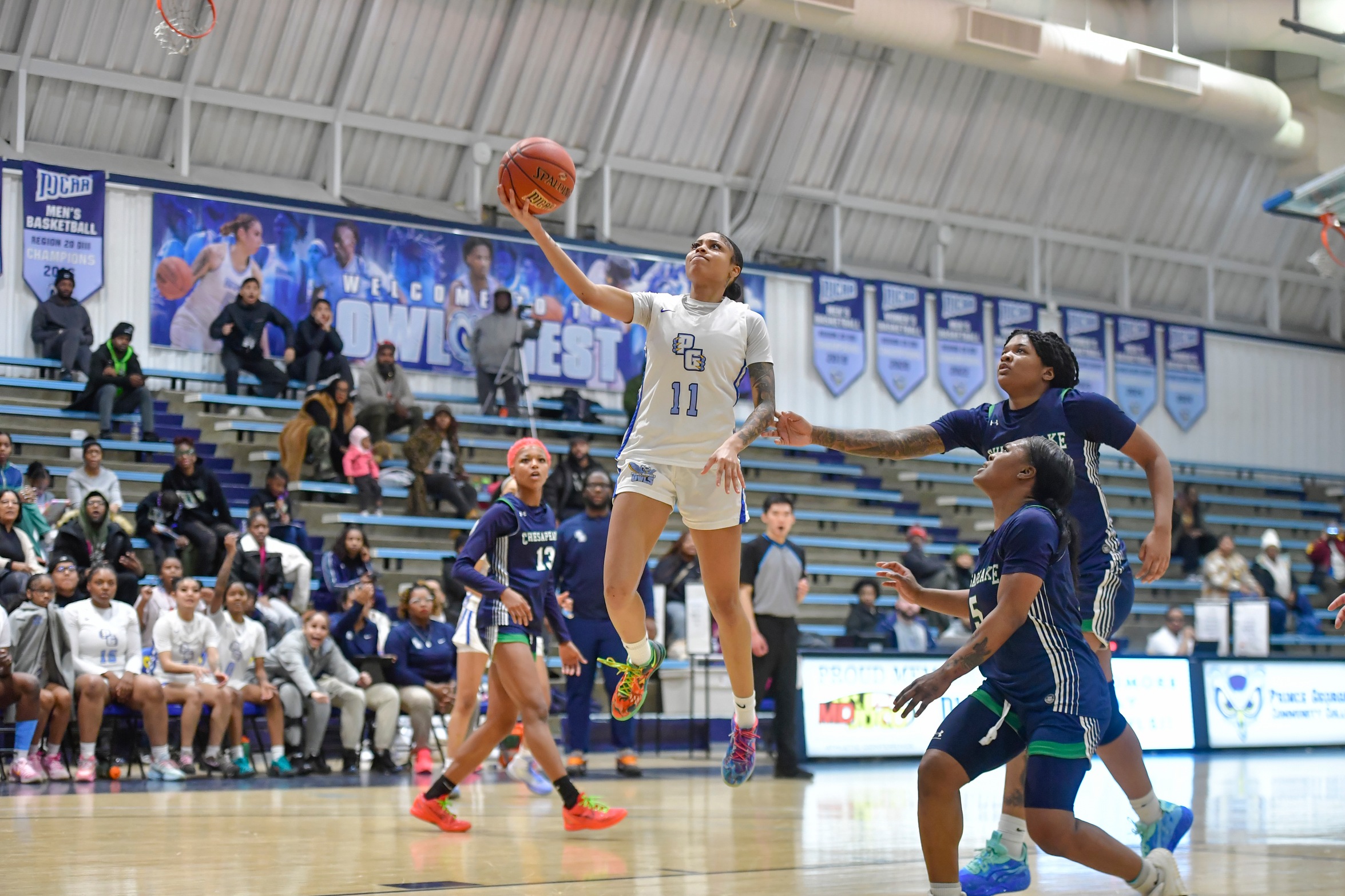 Women&rsquo;s Basketball Stumbles on the Road vs. WVU Potomac State